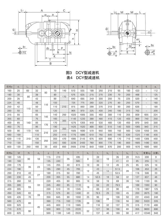 DCY硬齒面減速機結(jié)構(gòu)參數(shù) DCY硬齒面減速機結(jié)構(gòu)參數(shù)